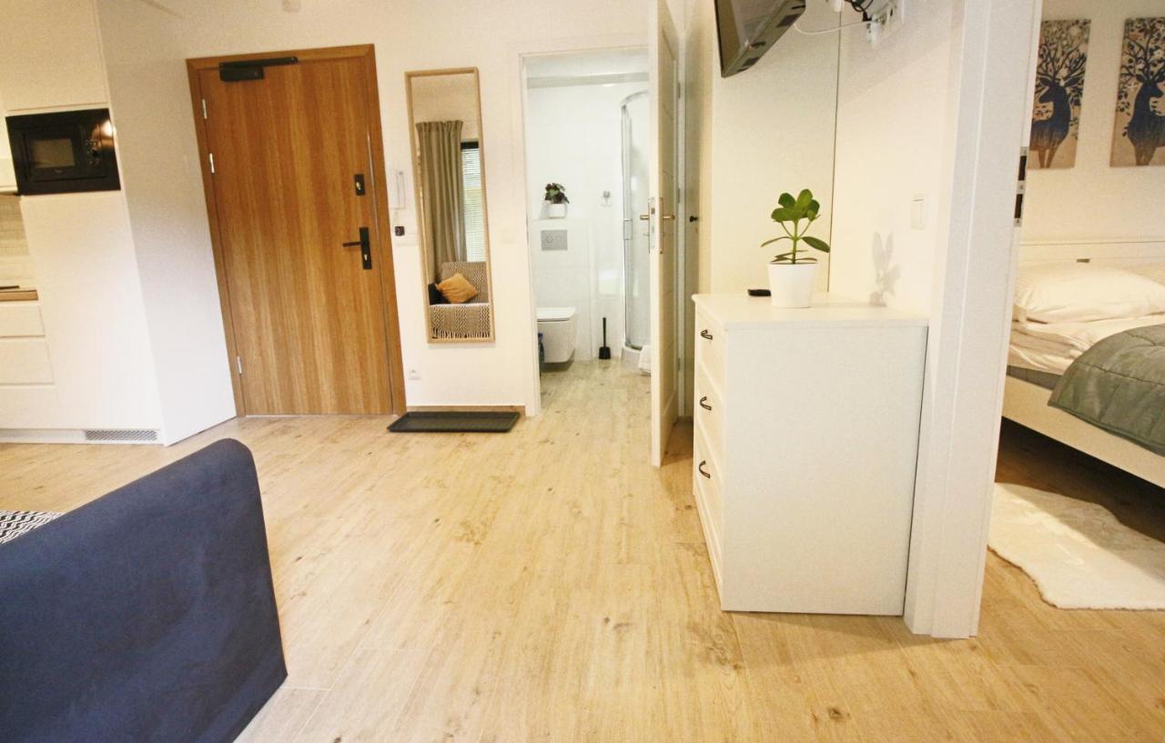 Apartment BazaTatry Kozica Zakopane Kültér fotó